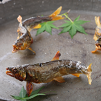 restaurant_pv